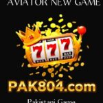 PAK804 Game